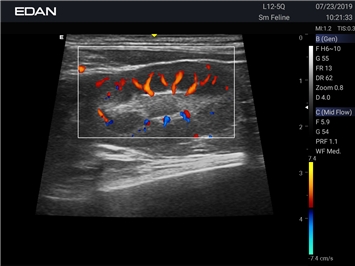 EDAN Acclarix AX3 VET